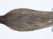 2862 Hebert Hen Cape Brown Grey Dun