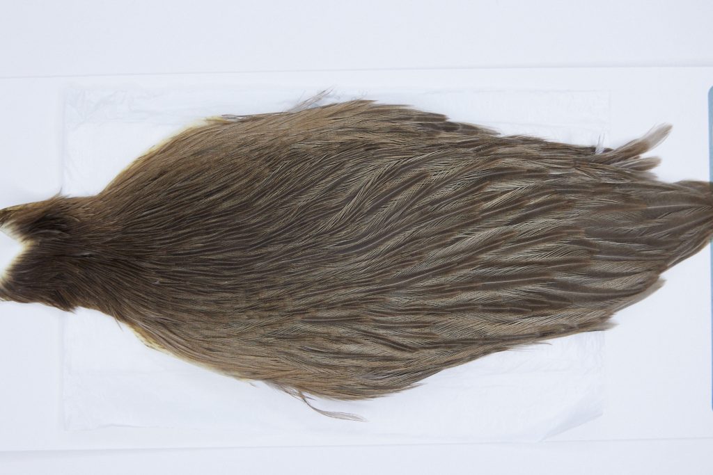 2863 Hebert Hen Cape Brown Grey Dun