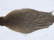 2863 Hebert Hen Cape Brown Grey Dun