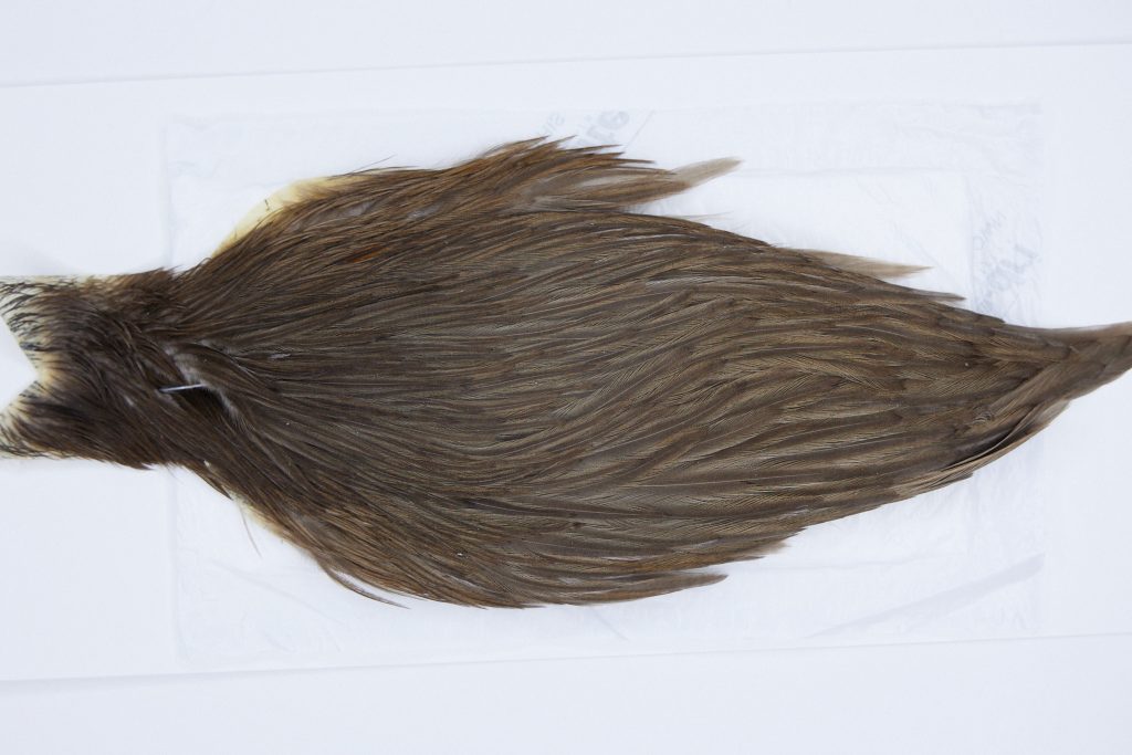 2865 Hebert Hen Cape Brown Grey Dun