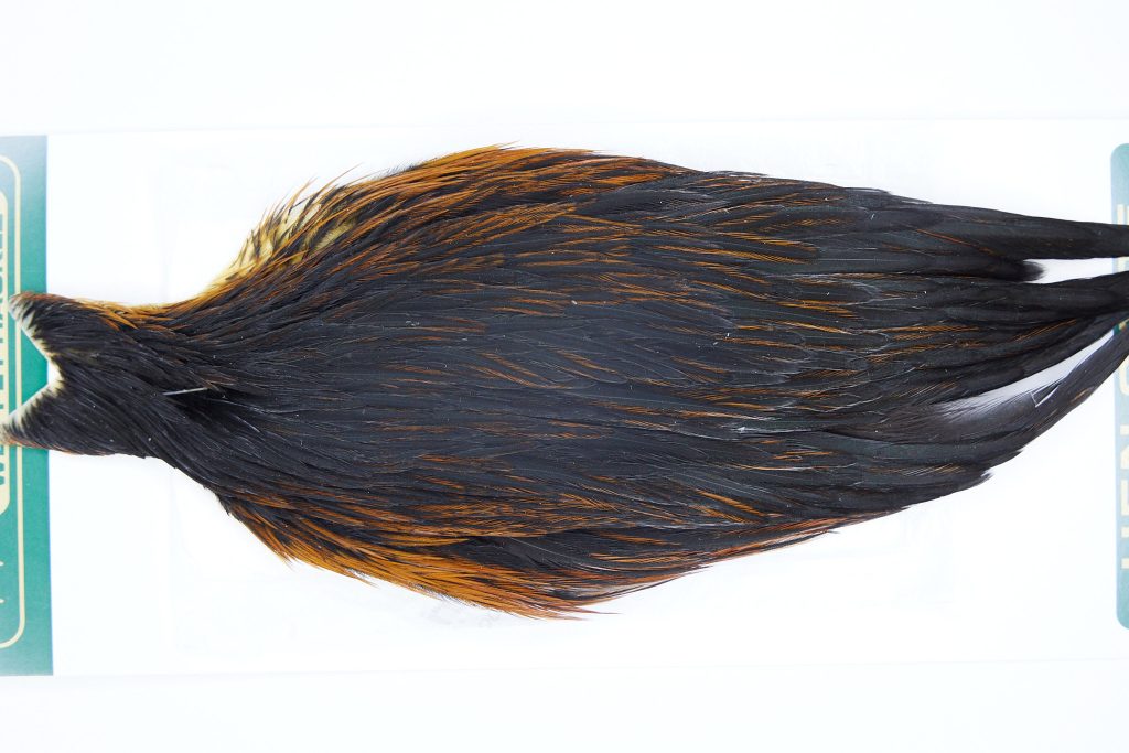 2881 Hebert Hen Cape Black