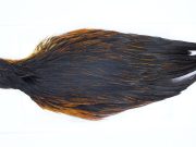 2881 Hebert Hen Cape Black