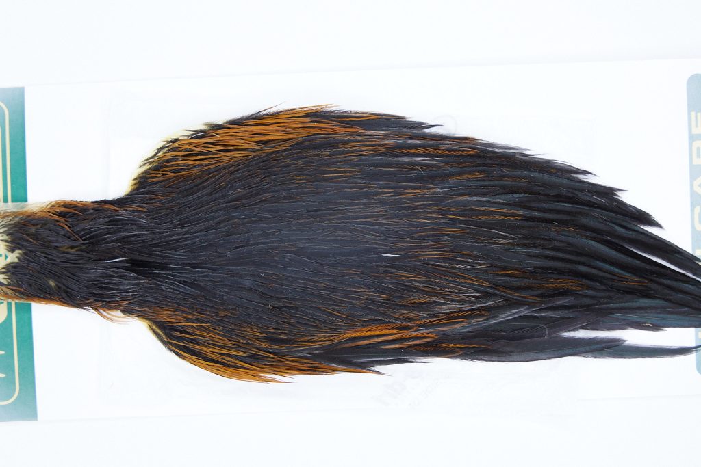 2882 Hebert Hen Cape Black