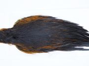 2882 Hebert Hen Cape Black