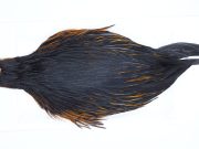 2883 Hebert Hen Cape Black