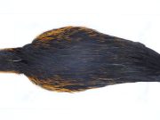 2884 Hebert Hen Cape Black