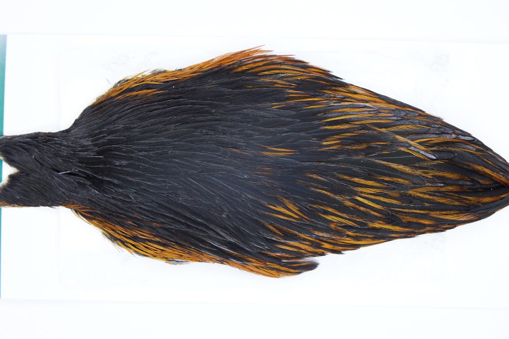 2885 Hebert Hen Cape Black