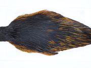 2885 Hebert Hen Cape Black