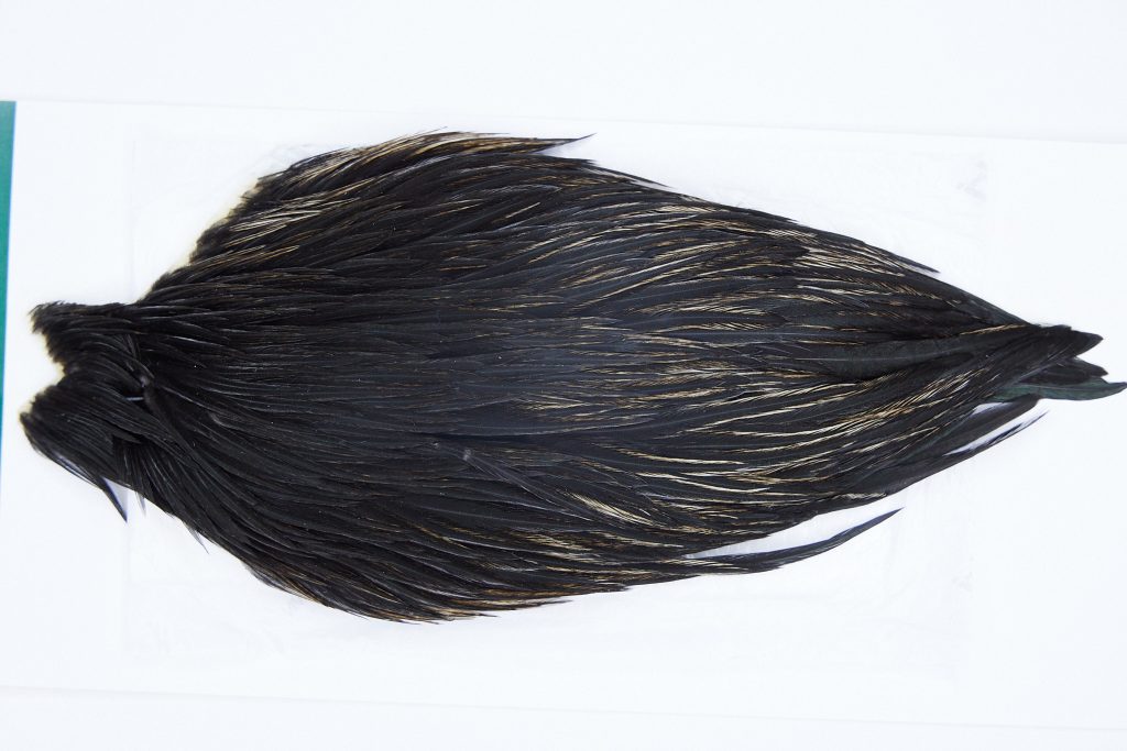 2887 Hebert Hen Cape Black