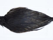 2887 Hebert Hen Cape Black