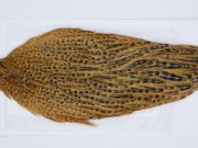 2890 Hebert Hen Cape Medium Ginger