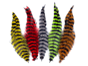 MFC - Barred Schlappen