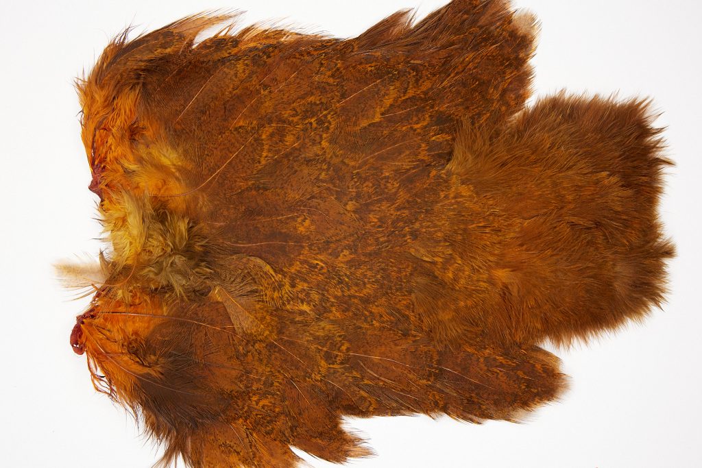 2525 Coq De Leon Dry Fly Hackle,  Chickabou Rooster Saddle Burnt Orange