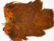 2525 Coq De Leon Dry Fly Hackle,  Chickabou Rooster Saddle Burnt Orange