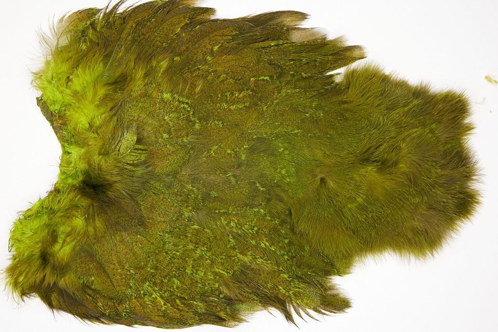 2530 Coq De Leon Chickabou Rooster Saddle Green Chartreuse