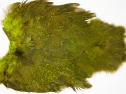 2530 Coq De Leon Chickabou Rooster Saddle Green Chartreuse