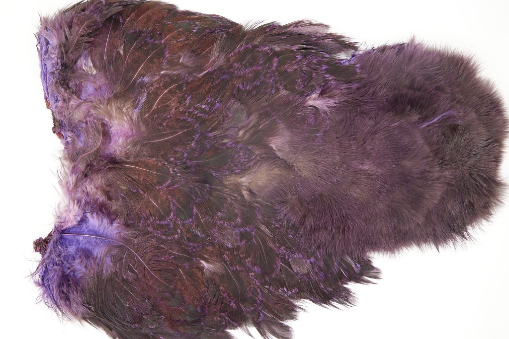 2531 Coq De Leon Chickabou Rooster Saddle Purple