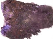2531 Coq De Leon Chickabou Rooster Saddle Purple