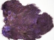 2533 Coq De Leon Chickabou Rooster Saddle Purple