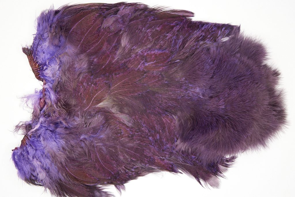 2534 Coq De Leon Chickabou Rooster Saddle Purple