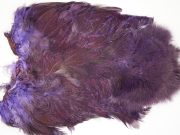 2534 Coq De Leon Chickabou Rooster Saddle Purple