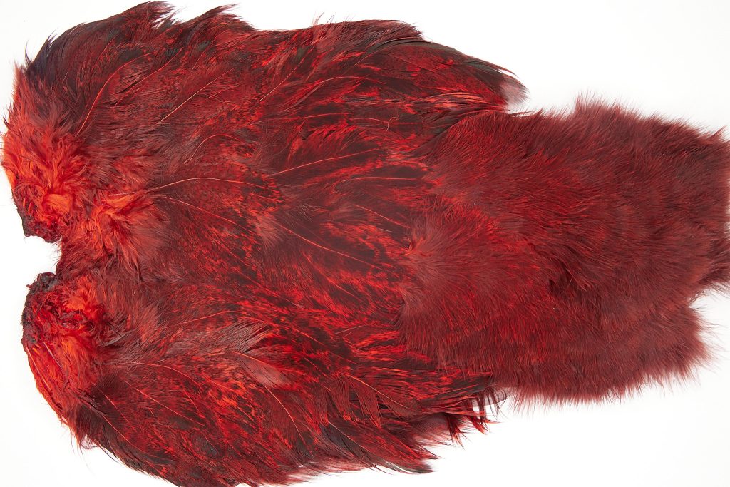 2537 Coq De Leon Chickabou Rooster Saddle Red