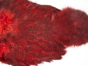 2538 Coq De Leon Chickabou Rooster Saddle Red