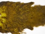 2541 Coq De Leon Chickabou Rooster Saddle Yellow