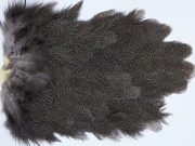 2628 Coq De Leon Hen Saddle Brown Speckled