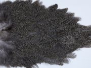 2636 Coq De Leon Hen Saddle Brown Speckled