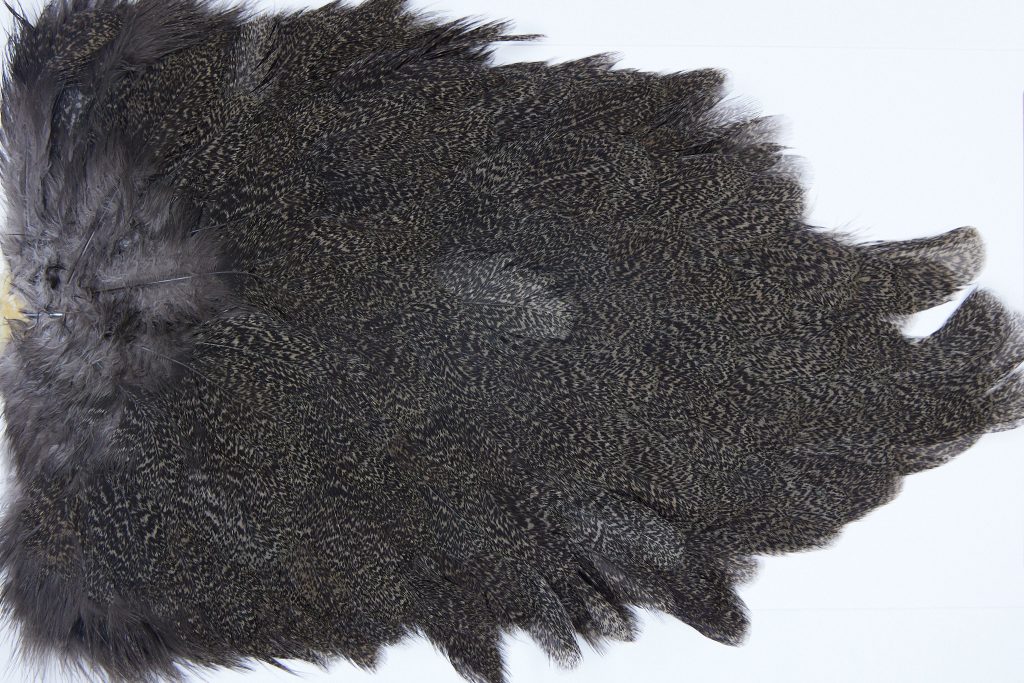 2637 Coq De Leon Hen Saddle Brown Speckled