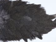 2637 Coq De Leon Hen Saddle Brown Speckled