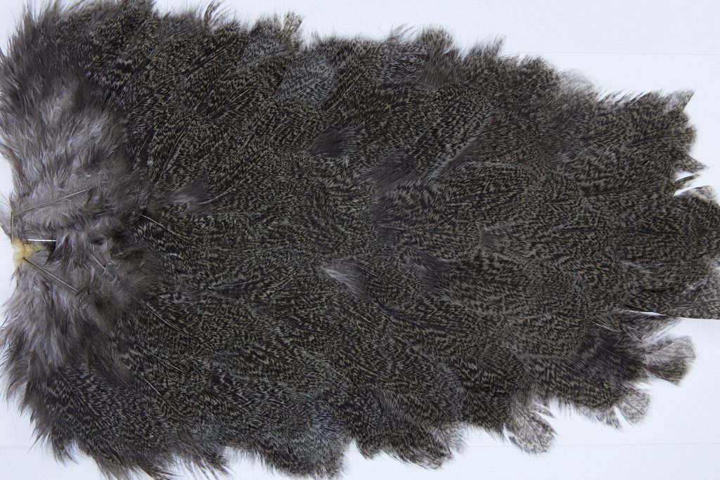 2639 Coq De Leon Hen Saddle Brown Speckled