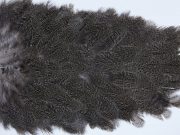 2639 Coq De Leon Hen Saddle Brown Speckled