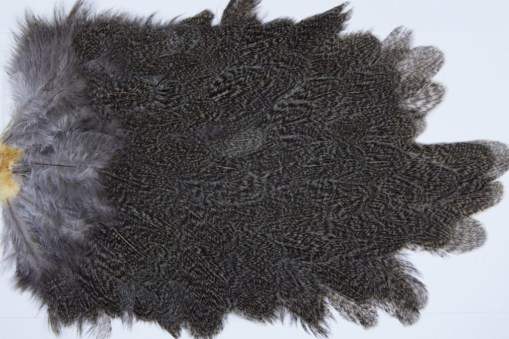 2641 Coq De Leon Hen Saddle Brown Speckled