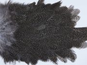 2641 Coq De Leon Hen Saddle Brown Speckled