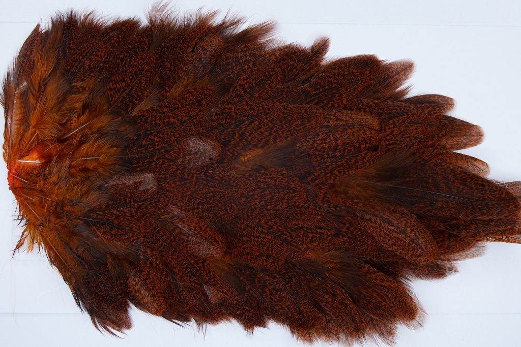 2645 Coq De Leon Hen Saddle Speckled Orange