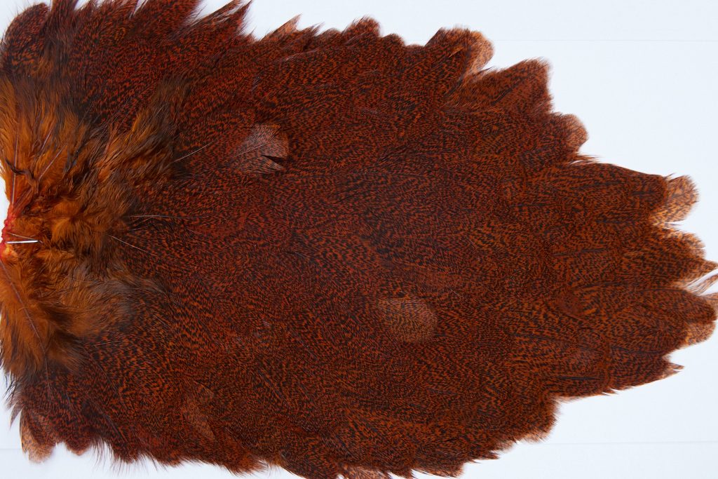 2647 Coq De Leon Hen Saddle Speckled Orange