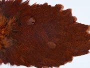 2647 Coq De Leon Hen Saddle Speckled Orange