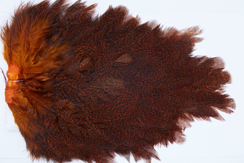 2648 Coq De Leon Hen Saddle Speckled Orange