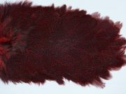 2677 Coq De Leon Hen Saddle Red Speckled