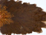 2692 Cog De Leon Hen Saddle Burnt Orange Speckled