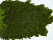 2698 Cog De Leon Hen Saddle Speckled Fl. Green Chartreuse