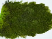 2701 Cog De Leon Hen Saddle Speckled Fl. Green Chartreuse