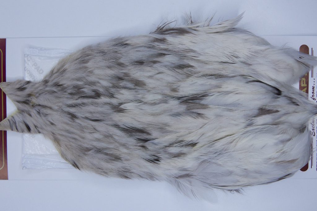 2715 Cog De Leon Hen Cape Variant