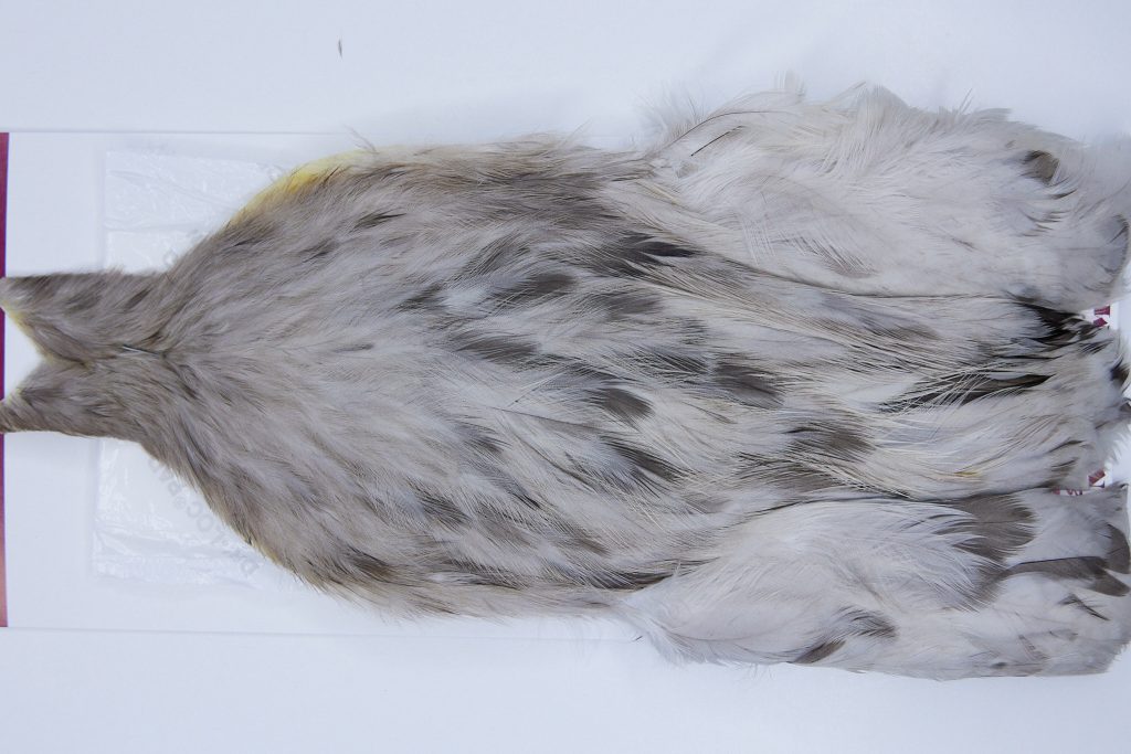 2716 Cog De Leon Hen Cape Variant