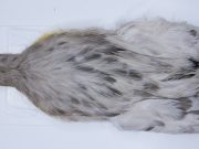 2716 Cog De Leon Hen Cape Variant