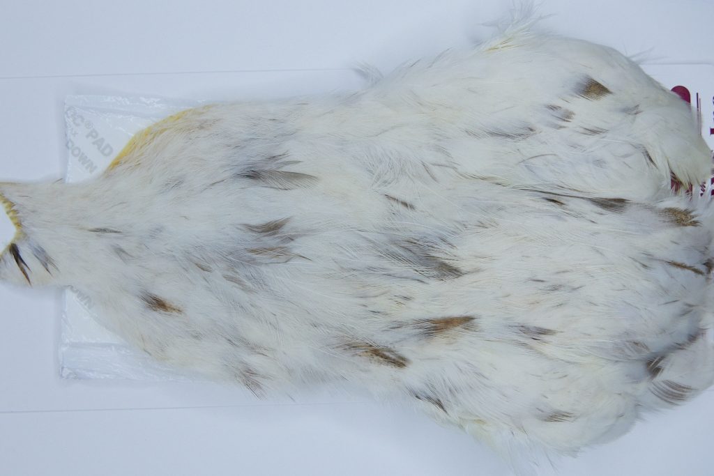 2717 Cog De Leon Hen Cape Variant