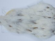 2717 Cog De Leon Hen Cape Variant