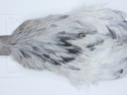 2718 Cog De Leon Hen Cape Variant